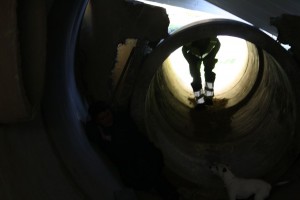 k-IMG 5130 